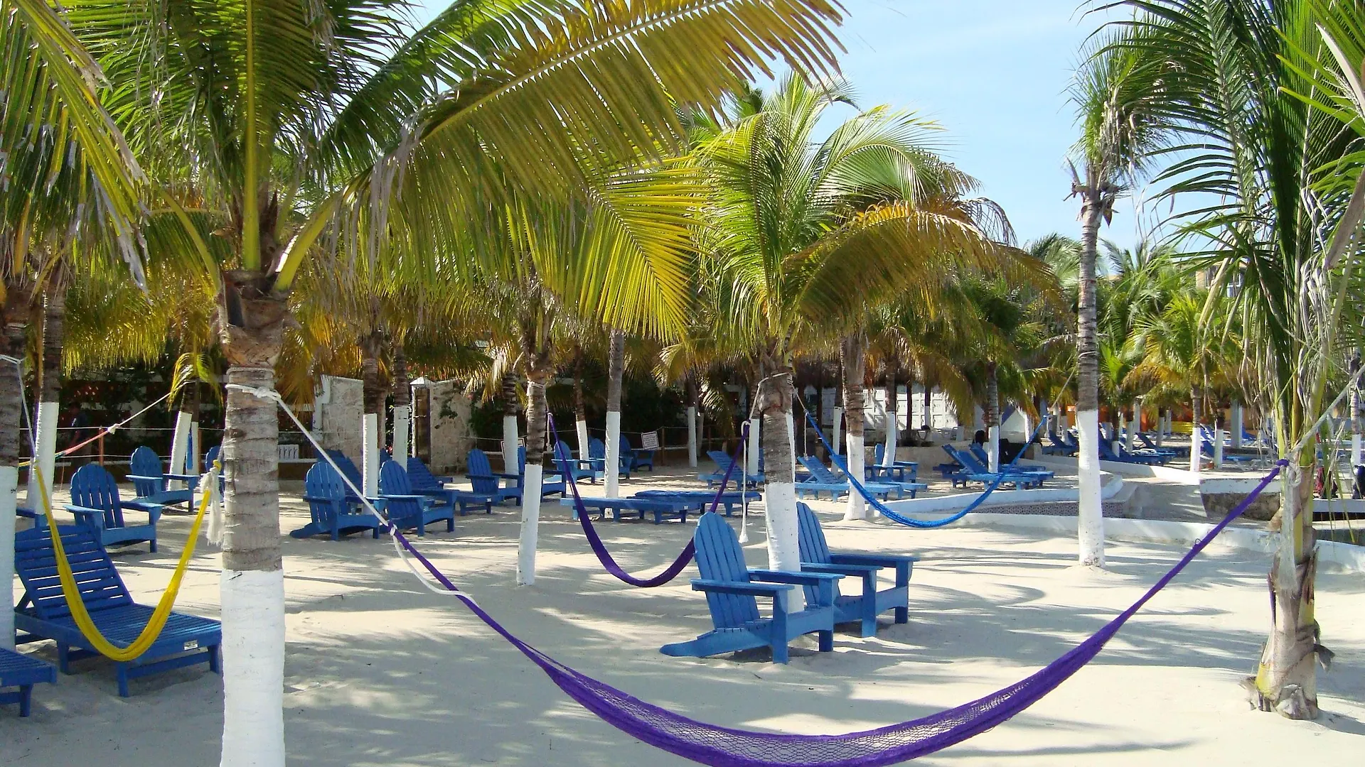 Cozumel Hotel & Resort Trademark Collection By Wyndham Meksyk